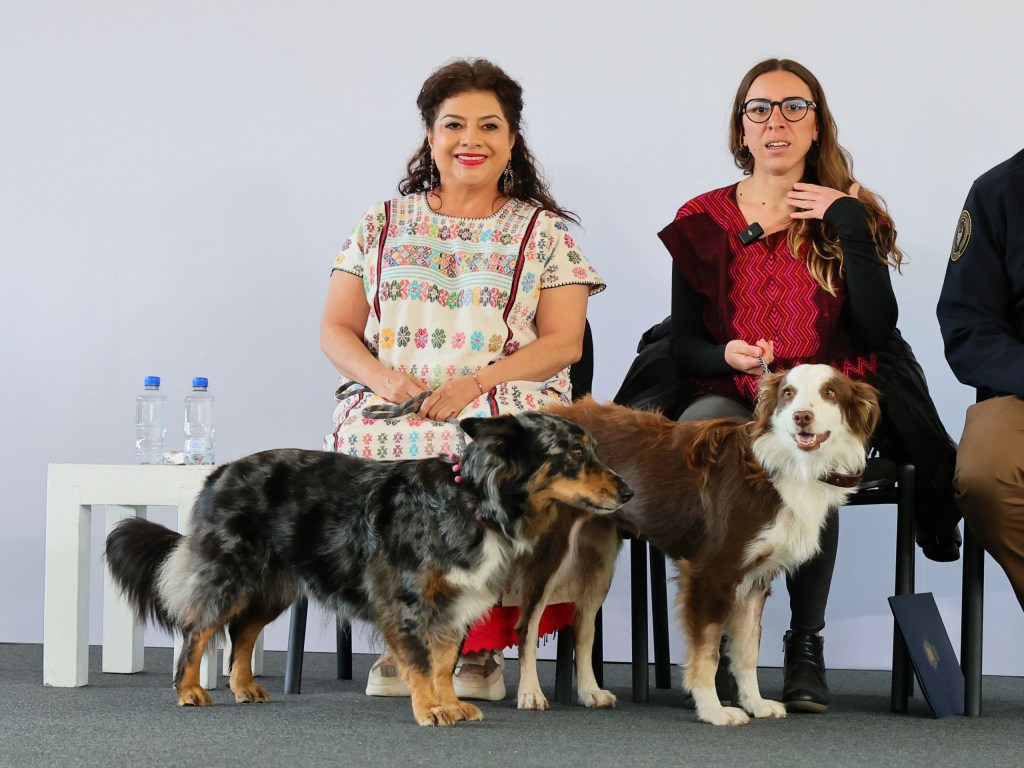 Plan Integral de Bienestar Animal en CDMX: Construcción de un hospital veterinario, 20 clínicas y 200 parques para&nbsp;perros